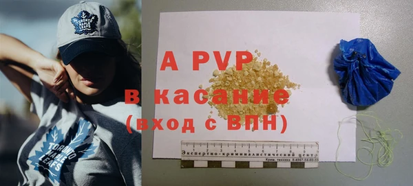 a pvp Бородино