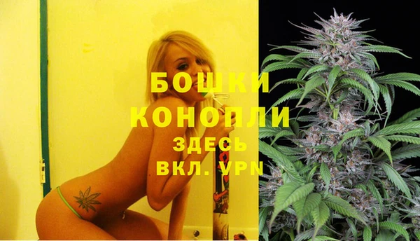 гидра Михайловск