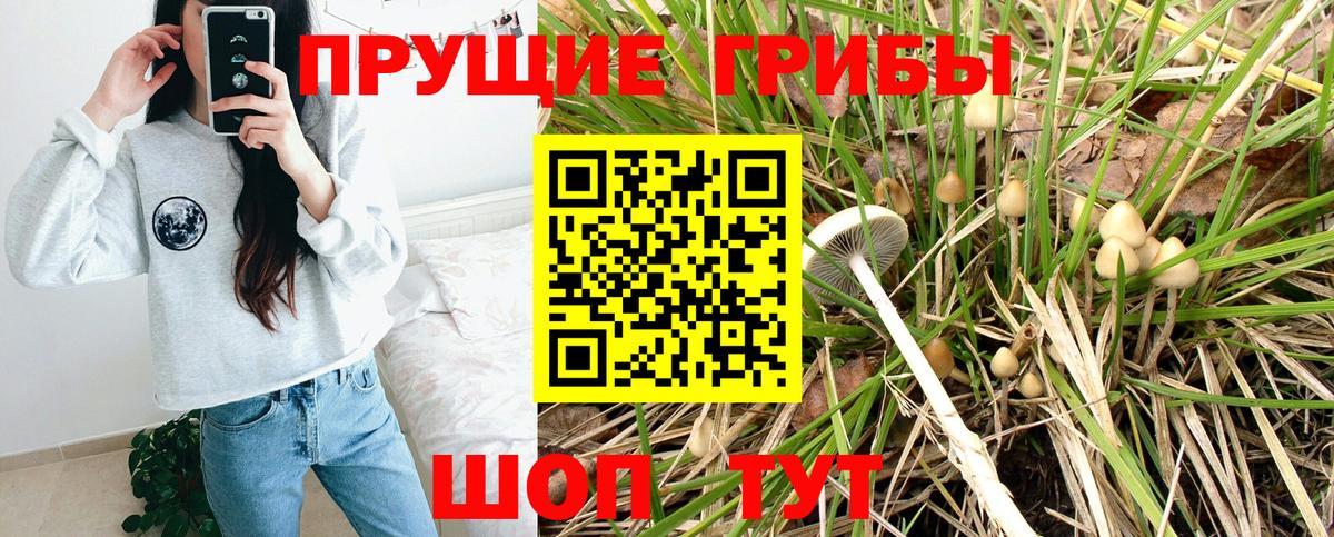 продажа наркотиков  Псилоцибиновые грибы ЛСД  Югорск  Галлюциногенные грибы ЛСД 