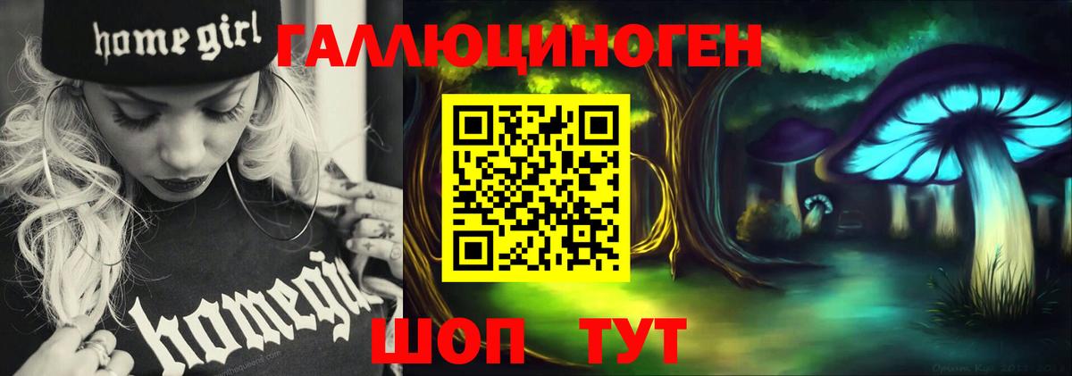 Псилоцибиновые грибы Psilocybe Югорск